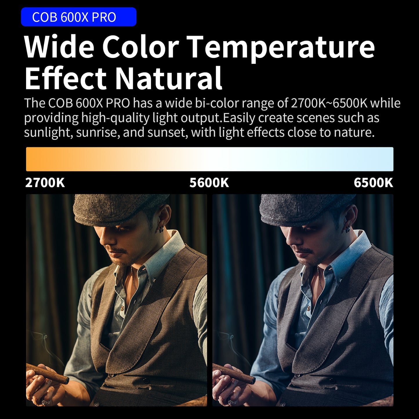 Apollo 600X Pro 600W Bi- Color Point-Source LED - إضاءه استوديو مركزيه احترافيه بلونين
