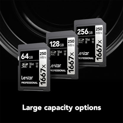 ذاكرة Lexar 1667x SD Card