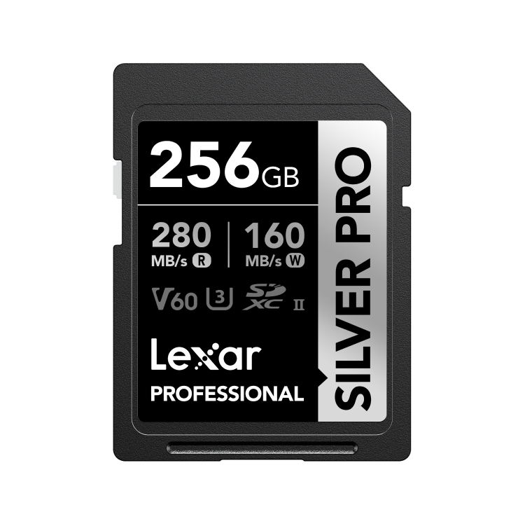 بطاقة ذاكرة Lexar 256 GB Silver Pro SD Card | Lexar 256 GB Silver Pro SD Card